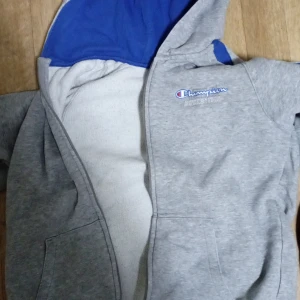Grå hoodie från Champion - Säljer en grå hoodie från Champion med blått foder i luvan. Den har en dragkedja framtill och två fickor. Perfekt för en avslappnad stil.