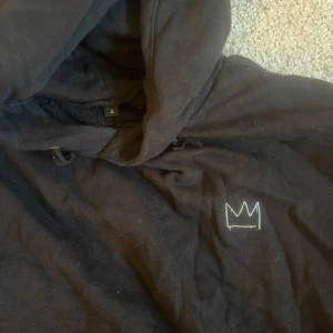 Svart hoodie med turnétryck - Säljer min svarta hoddie ifrån hov1 2023, köpt på konserten i göteborg, aldrig haft på mig den då jag glömde att jag hade den. 