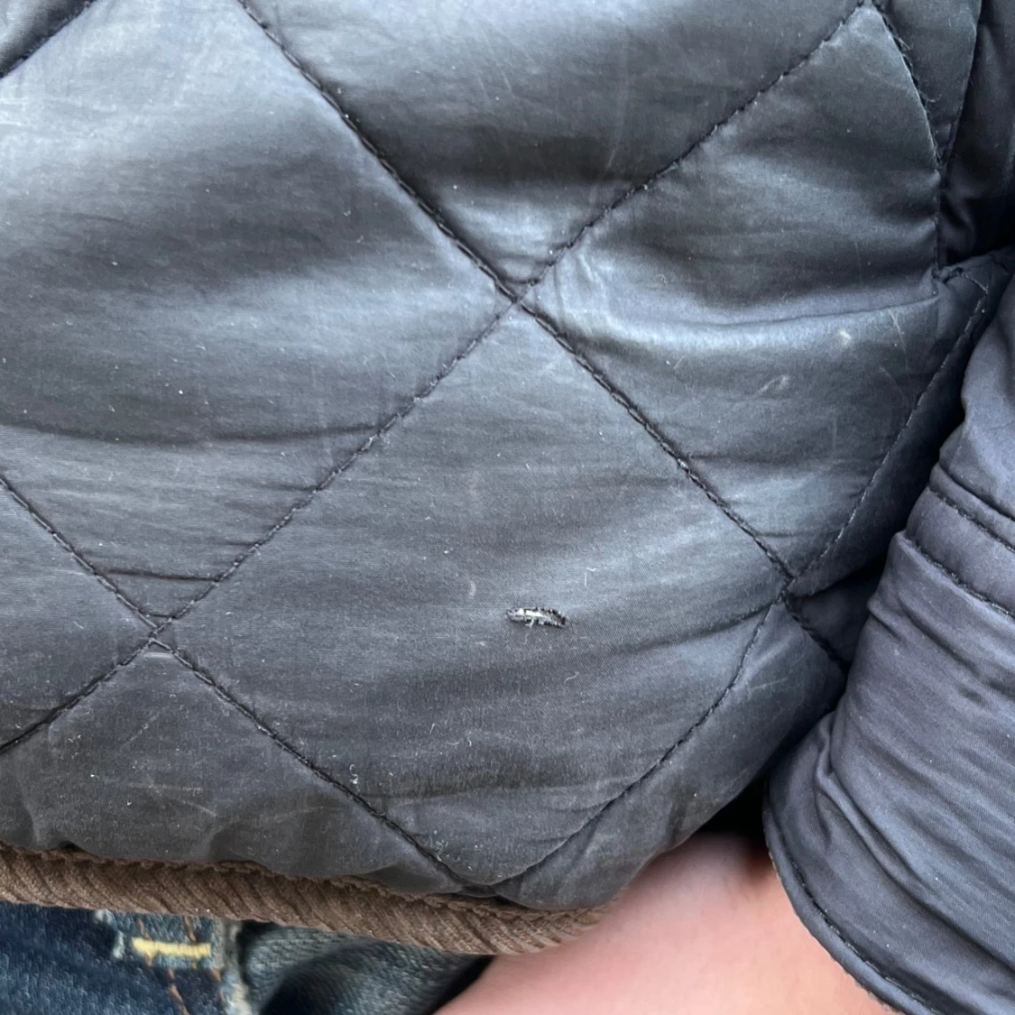 Mörkblå quiltad jacka från Morris - 2