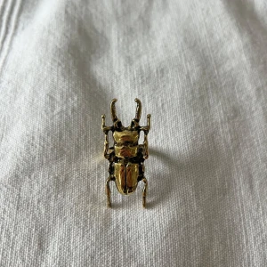 Guld ring - Justerbar och rostfri stål 