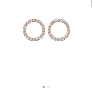 Guldörhängen med glittriga stenar - Eleganta guldörhängen i cirkelform med gnistrande stenar runt om. Säljer då de inte kommer till användning, använda en eller två gånger💕