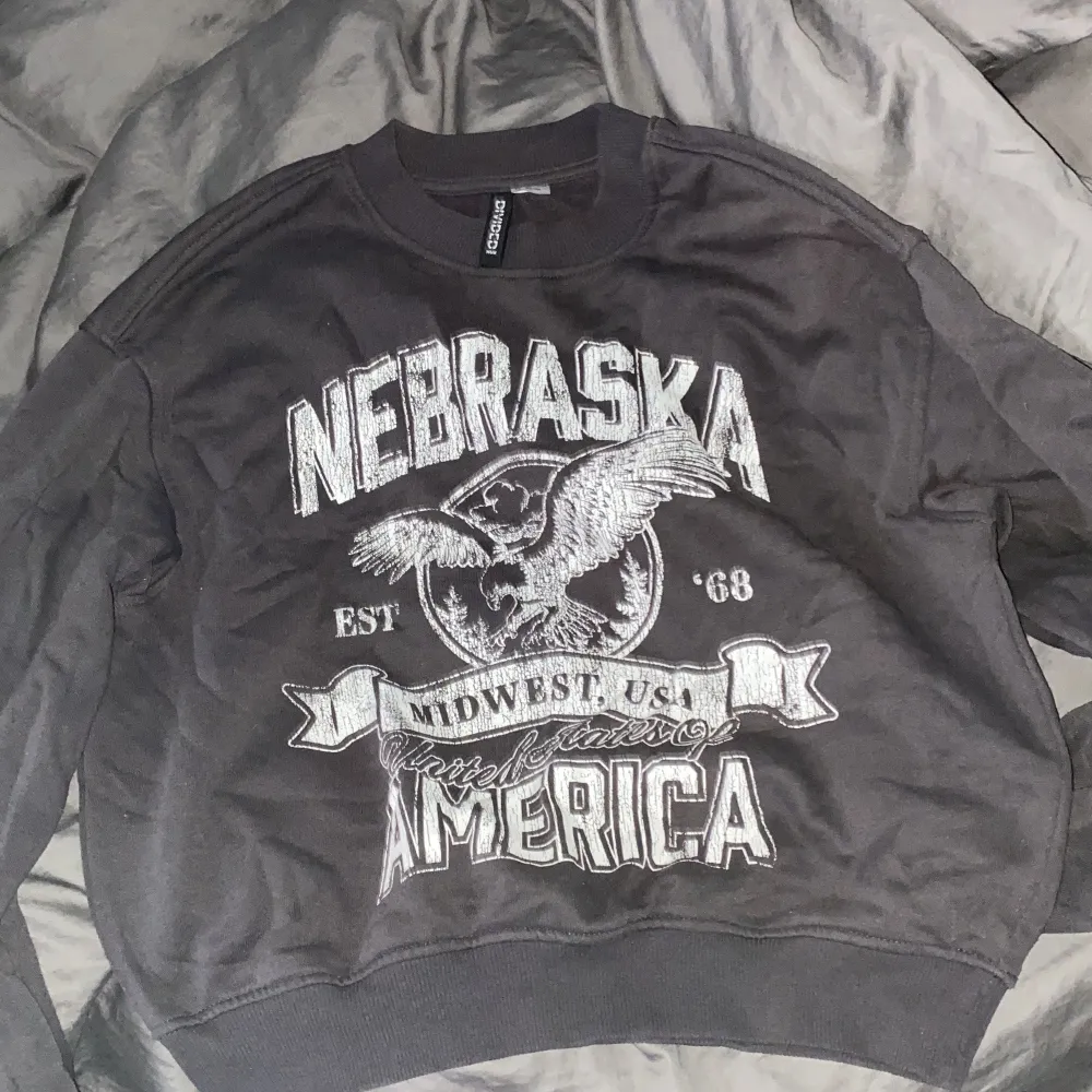 Säljer en grå sweatshirt från H&M Divided med tryck av en örn och texten 'Nebraska America'. Tröjan har en avslappnad passform och är perfekt för en casual look. Den är i bra skick och passar perfekt till jeans eller leggings.. Tröjor & Koftor.