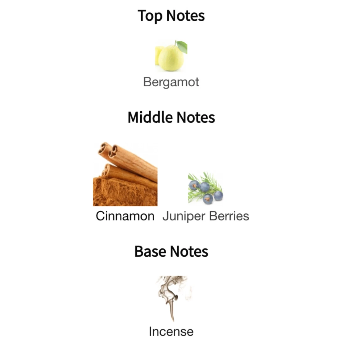 Zara Nocturnal Life Parfum - 91