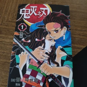 Demon slayer vol.1 på kinesiska  - Hej! Säljer vol.1 Demon slayer på kinesiska <3 Dm för frågor 