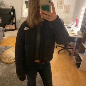 Jätte snygg vinter jacka  - Säljer en svart pufferjacka från The North Face i mycket bra skick. Jackan är perfekt för kalla vinterdagar. Supermysig! ❤️