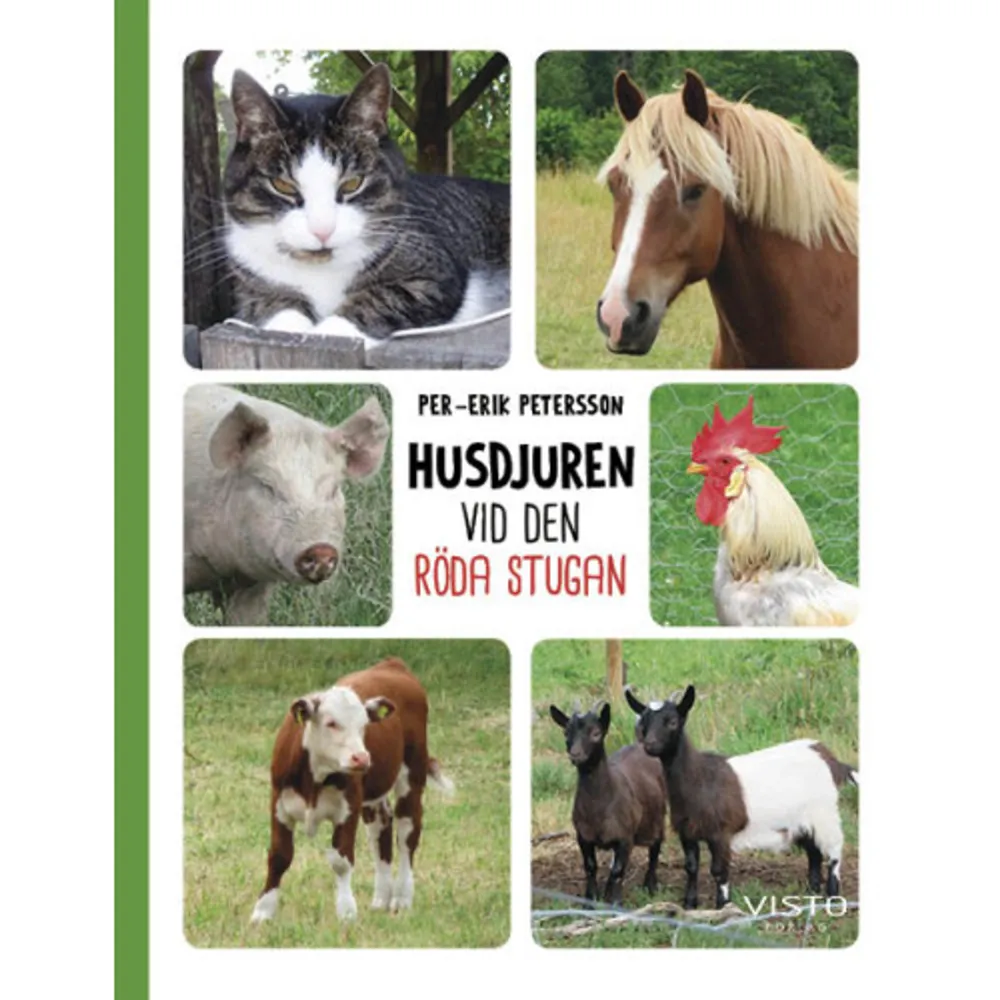 Gumman och gubben går och tittar på husdjur som finns på bondgårdarna runt deras röda stuga. Det är mycket de undrar över: varför idisslar kor, hur mycket väger ett strutsägg, varför är grisar lortiga? Svaren på detta, och mycket annat, hittar du i denna rikt illustrerade bilderbok. I boken presenteras 14 svenska husdjur med foton och korta, pedagogiska texter. Där finns vanliga djur som ko, häst och gris men också mer ovanliga som alpacka, struts och åsna. Detta är en bok lämplig för nyfikna barn och deras föräldrar, som vill veta mer om våra husdjur och som gärna tittar på härliga djurbilder.    Format Inbunden   Omfång 36 sidor   Språk Svenska   Förlag Visto Förlag   Utgivningsdatum 2021-02-15   ISBN 9789178853663  . Böcker.