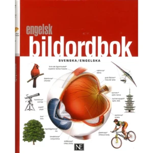 Engelsk bildordbok svenska/engelska (bok, flexband) - Den nya, helt uppdaterade upplagan av Engelsk bildordbok visar på ett ögonblick föremål och företeelser som annars skulle kräva mångordiga förklaringar. Bild och ord bildar en enhet som ger mycket mer än en vanlig ordlista. Här finns ca 20 000 engelska ord och termer med svensk översättning. Engelsk bildordbok behandlar 18 ämnesområden, t.ex. mat, kläder, kommunikation och samhälle. Svenskt och engelskt register och omkring 5 500 illustrationer gör den till en suverän kunskapskälla och en inspirerande blädderbok. Boken fungerar utmärkt för engelsktalande som vill veta vad ett föremål heter på svenska och ordboken kan med fördel användas i undervisning på olika nivåer.    Format Flexband   Omfång 624 sidor   Språk Svenska   Förlag NE Nationalencyklopedin   Utgivningsdatum 2017-07-06   ISBN 9789188423108  