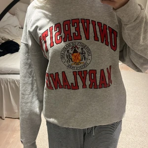 Grå sweatshirt från Champion - Säljer en grå sweatshirt från Champion med tryck. Tröjan är i bra skick och perfekt för en avslappnad stil. Den har långa ärmar och en klassisk passform. 