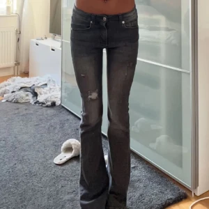 Grå low waisted bootcut jeans från RYVLS - Assnygga grå jeans från RYVLS med slitna detaljer. I storlek 158/164 men passar också 25/32! Säljer på grund av att dem inte passar mig.