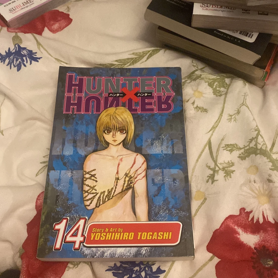 hunter x hunter/hxh - 91