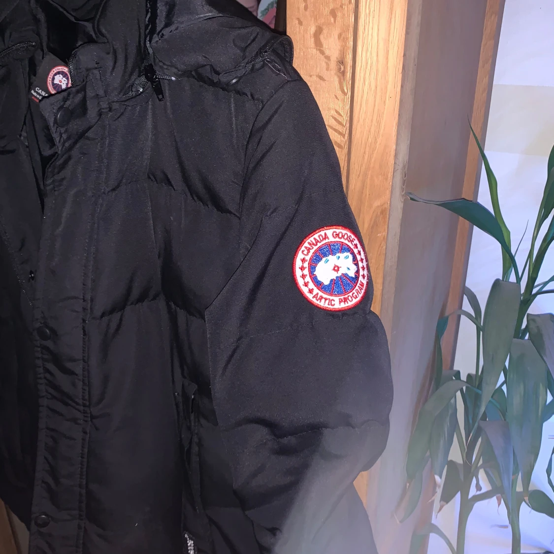 Canda gosse jacka - 91