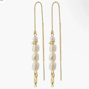 Pilgrim örhängen - Kommer aldrig till användning 💓 använd få gånger, bra skick 💓💓