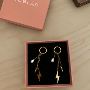Edblad guldörhängen  - Säljer mina nya örhängen från Edblad. Fick de i julklapp men de är inte riktigt min stil. De är inte använda och helt nya. Kommer i orginalföpackningen 💗