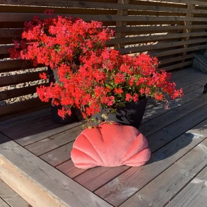 🩷Rosa snäck formad kudde🩷40kr + frakt  - Mysig snäck formad kudde. Perfekt för säng dekorering! Materialet är inte stickigt🩷🩷