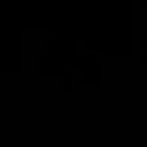 Spets blus - Spets blus