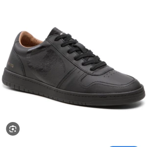 Svarta champion skor - Snygga svarta champion 919 pro low i bra skick. Skriv för mina bilder. Använda men inga skador, har stått senaste åren så jag dammar av och putsar av dem innan försäljning👟😃