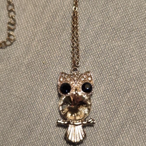 Silverfärgat ugglehalsband - Charmigt halsband med en uggleberlock i silverfärg. Ugglan har glittrande detaljer och stora svarta ögon. Kedjan är tunn och justerbar, vilket gör den lätt att bära till olika tillfällen.
