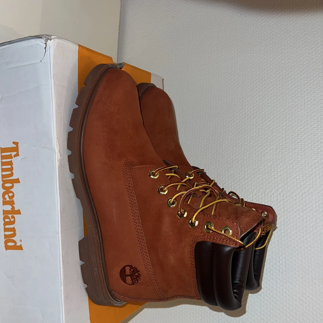 6 in Water resistant basic ( Smoked paprika)  boots från Timberland  - 2