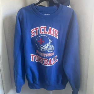Vintage sweatshirt  - Säljer en snygg vintage sweatshirt med tryck. Köpt på go vintage här i varberg för 600kr. Aldrig använd! Pris kan diskuteras vid snabb affär