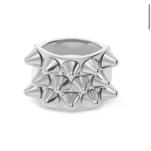 Edblad ring - Säljer denna as coola ringen från Edblad med nitar på, jättefint skick använt få gånger, skriv för frågor och prisförslag!