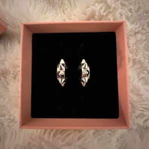 Silvriga örhängen med nitar från Edblad - Knappt använda!! Snygga silvriga örhängen från Edblad med coola nitar runt hela ringen. Perfekta för att ge en edgy touch till din stil. Kommer i en fin rosa ask.