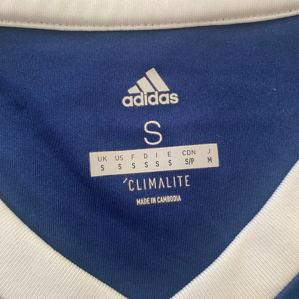 Sverige tröja i tränings material . Sportswear.