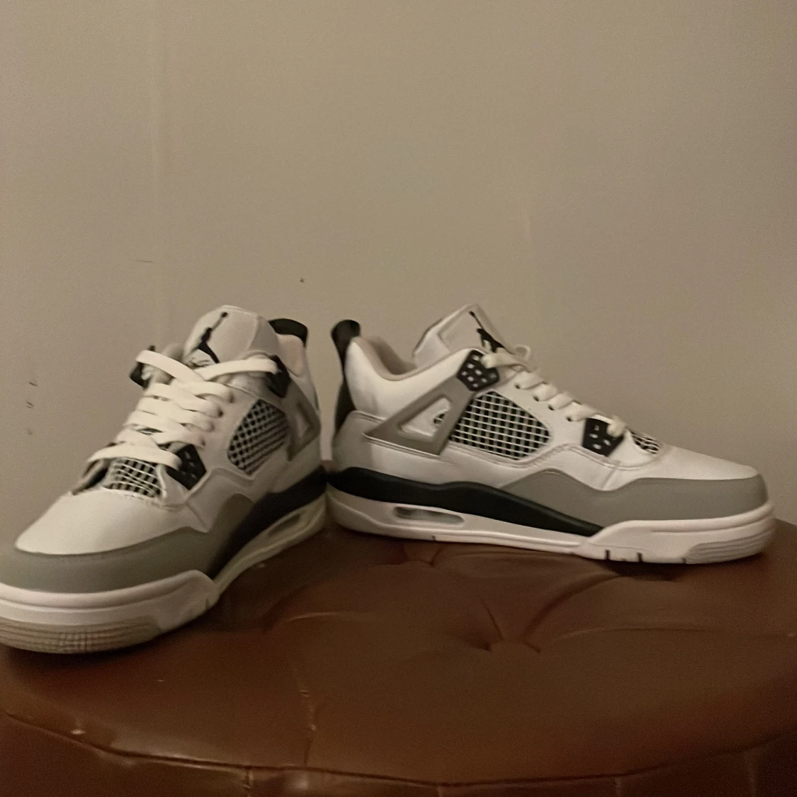 Jordan 4s - 27