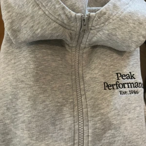 Peak Hoddie - Hoddie