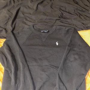 Ralph Lauren Sweatshirt  - Använt ett fåtal gånger men är fortfarande som ny, skick 8/10 Storlek S, inga hål och inga fläckar alls, Pris kan diskuteras vid snabb affär, frågor? DM!