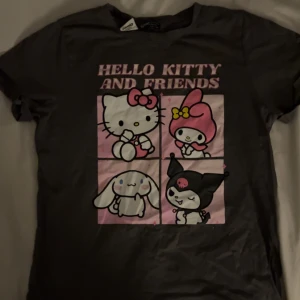 Grå Hello Kitty sanrio  t-shirt - Säljer en grå t-shirt med Hello Kitty tryck. Har bara använt 1 gång och tvättat den sen efter, super skön material. Funkar både utomhus och inomhus, hedvig sjödin har nästan exakt samma fast vit 🔥