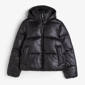 Vinterjacka  - Intressekoll på min vinterjacka från H&M