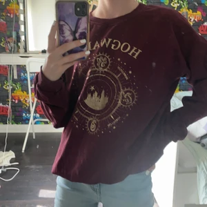 Hogwarts Harry Potter tröja storlek 170 - Jätte fint skick ,knappt använd passar som Xs/S overzise