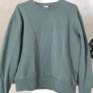 Sweatshirt - Säljer denna sweatshirt från Zara, den är i perfekt skicka och är sparsamt använd. Säljer den för att jag växt ur tröjan.     Köparen står för frakten, dock om affären är smidig kan vi dela på frakten.