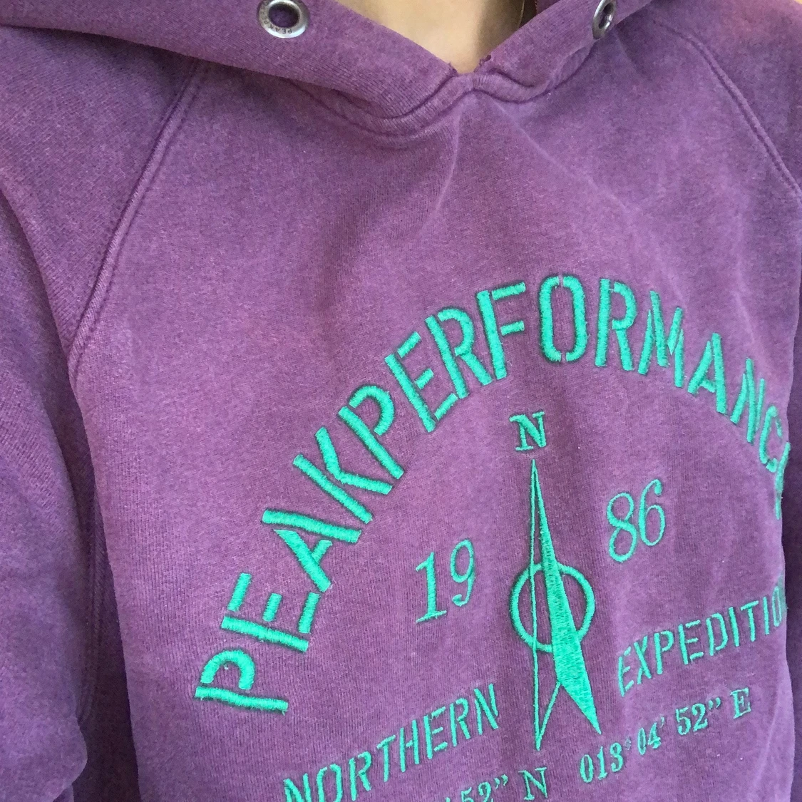 Peak performance hoodie - 91