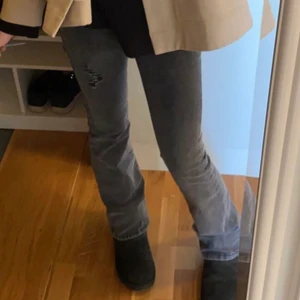 Gråa bootcut jeans - Jätte fint skick och köpta nyligen!🤩