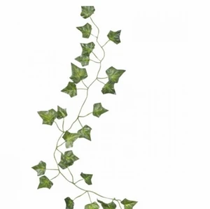 Klängväxter plast - Kläng växter av plast! 2,5 m. Har tappat typ 5 löv som man ser på tredje bilden men det är inget man lägger märket till. Gratis frakt. Hör av dig via frågor eller intresse