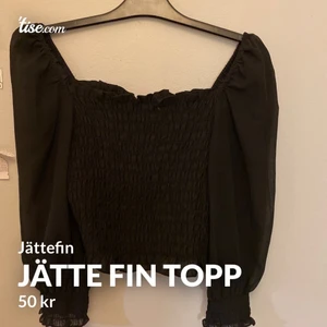 Fin  - KÖPARE STÅR FÖR FRAKT 