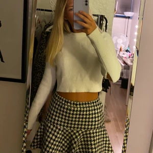 Rutig kjol - Säljer denna supersnygga kjolen ifrån zara då den ej kommer t användning. Köpt för 350kr, säljer för 150kr