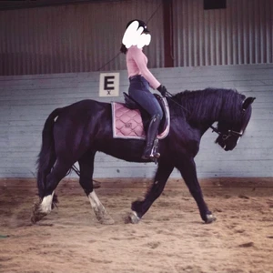 dressyrschabrak - Säljer mitt fina rosa ES Schabrak strl full💓 Kan mötas upp i Stockholm eller utanför Jönköping, annars kan jag frakta mot kostnad💘☺️ Har även Swish🤍