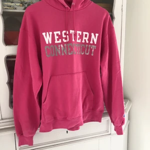 Western Connecticut Vintage Hoodie M - väldigt cool champion vintage hoodie. Passar M. 