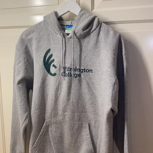 Collegehoodie - Cool vintage hoodie, äkta champion - grå/grön wilmington college!  Lite lite nopprig, syns på första bilden o en liten öppning i ena mudden annars jättebra skick. (kan gå ner i pris vid snabb affär