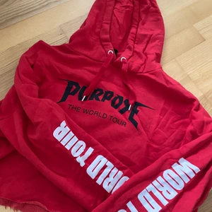 Justin Bieber Purpose the world tour  - En kroppar tjocktröja från H&Ms JB Purpose tour kollektion. Använd endast ett fåtal gånger sen har den bara legat i garderoben. I bra skick! Storlek L men passar mig som har S då den sitter oversize och det är väldigt snyggt med en croppad tröja tycker jag ✨