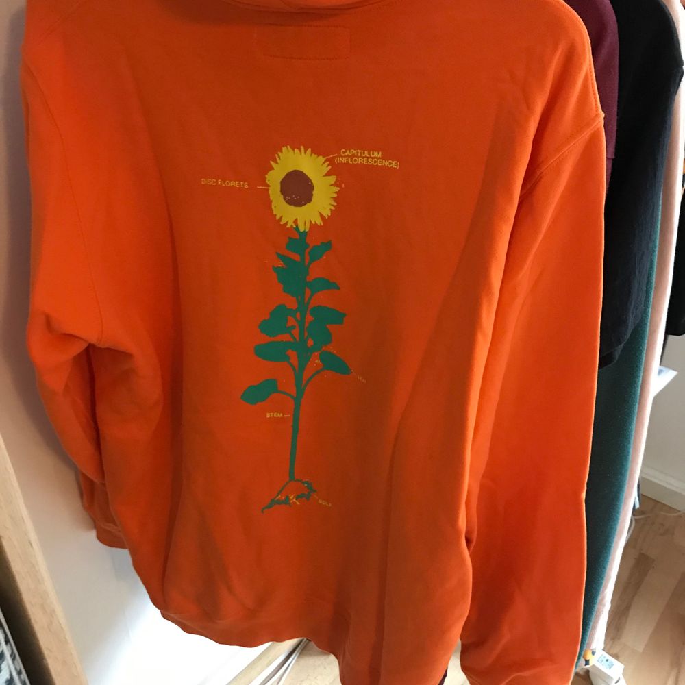 Golf wang best sale sunflower hoodie