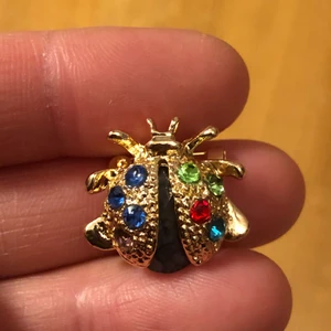 Säljer ett fint brosch  - Säljer ett fint brosch. Kosta 49kr köparen står för frakt. Samfrakt 