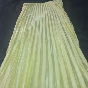 Knä lång kjol - Dem är från zara köpt föra året den går typ nedanför knäna har resor i midjan och en dragkedja på sidan