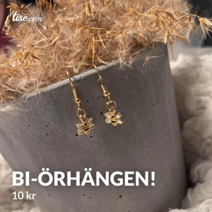 Bi-örhängen! - Bi-örhängen gjorda utav mig Ellen!                                         10 kr + 13 kr frakt!                                                                 (KÖP 4 PAR= FRAKTFRITT!) ❤️