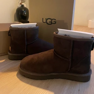 Helt nya UGGs - Helt nya UGGS, inköpta i december från UGG Australien men tyvärr på gränsen till för små. Kostar 1900 nya. Karton och allt medföljer, endast testade inomhus! Färg: chocolate, nästan slutsålda 