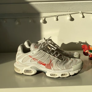 Nike airmax 95 Tn - Nike air Max 95 TN i jätte fint skick, inga flaws eller liknande men lite smutsiga. Storlek 43 och passar tts. Sätter priset på 400 men är inte helt omöjlig!🤝🤙🏻