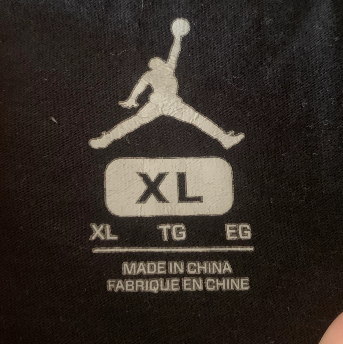 Jordan Wing it t-shirt  - 91