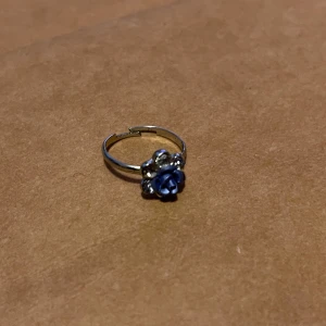 Silverring med blå rosdetalj - Charmig silverring med en vacker blå rosdetalj i mitten. Perfekt för att ge en romantisk touch till din stil. Ringen har en enkel och elegant design som passar till många olika tillfällen.